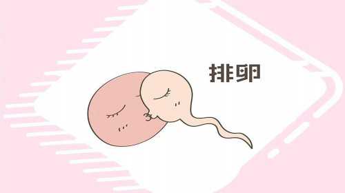 广州供卵试管有哪几家 广州供卵试管试管婴儿医院排名 ‘孕囊39剩19男孩女孩’