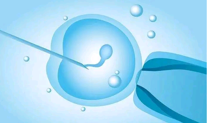 上海供卵试管婴儿医院 2023在上海仁济医院三代试管大概多少钱? ‘孕囊月牙型