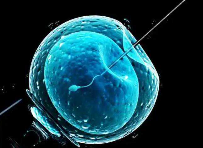 深圳代生孕网,试管冻胚移植比鲜胚成功率更高？实际上也需要前提条件_子宫全
