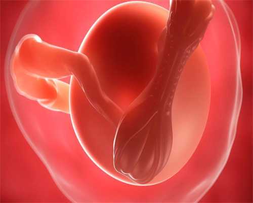 广州有没有找人代生 广州供卵试管试管婴儿医院排名 ‘胎儿体位b超女孩的阴唇