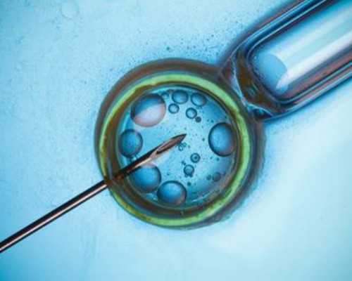 西京医院试管婴儿费用详解：2026年费用明细*三代自怀助孕