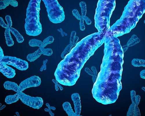 月经第11天卵泡多大是标准呢*供卵助孕男孩