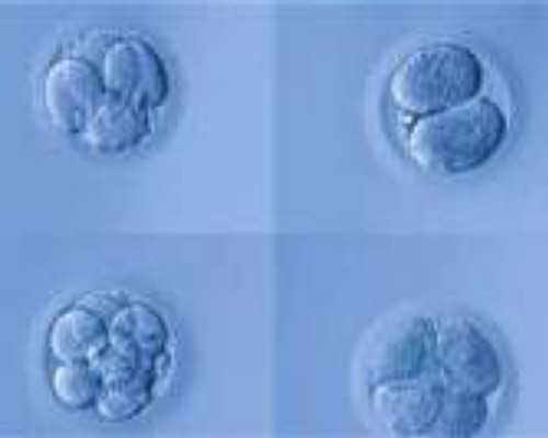 取卵术后注意事项有哪些取卵前后注意事项*找人代生男孩