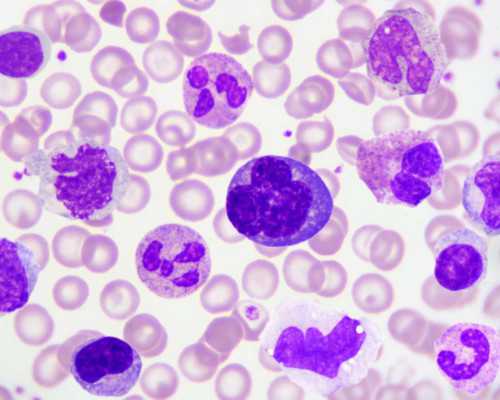 深圳武警医院试管选男女 在深圳做供卵试管费用多少钱? ‘生了男孩的第一张