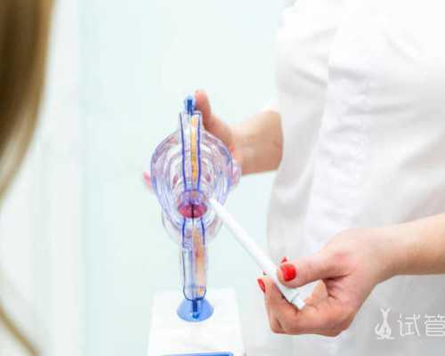 代怀小孩价格多少_哪有代怀公司,青海供卵代怀试管生子机构公开,2026
青海供卵