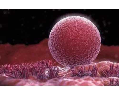 兰州代腹生子多少钱 2026兰州试管婴儿费用花销排行榜，网友实例分享试管费用