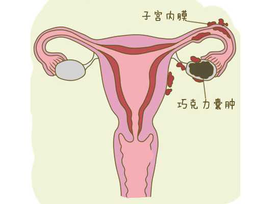 代孕生的孩子如何开出生证明,2026山东供卵试管代怀包成功机构名单发布-附费用