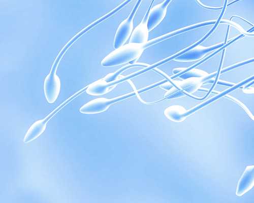 育儿教育语录_备孕男方都检查什么,黑龙江2026年试管医院排名最好的有哪几家，