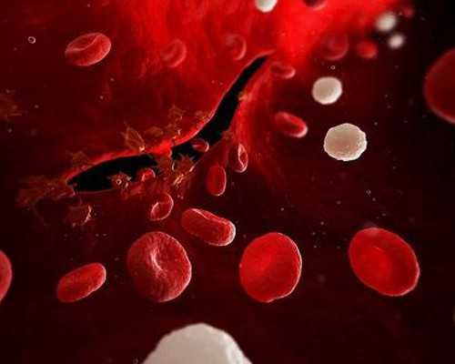 两个月备孕来的及吗_育儿app0-3岁,备孕前需要做些什么准备工作-除了检查还有这