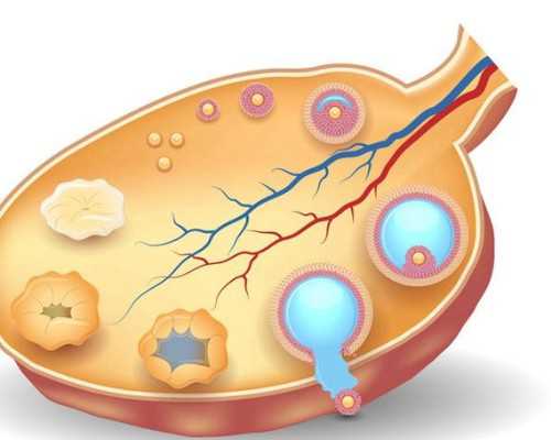 北京三院试管婴儿成功率多少钱 在北京做一个试管婴儿周期需要多久? ‘三维彩
