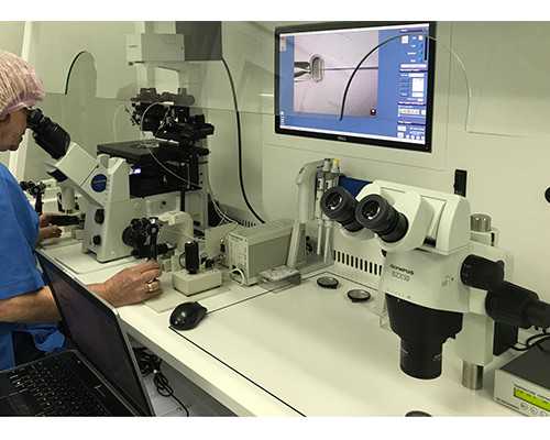 牙齿可以移植给别人吗