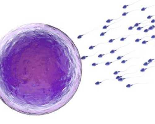 家庭育儿师_育儿知识分享,女性备孕前检查6大项！“备孕优生”十分重要