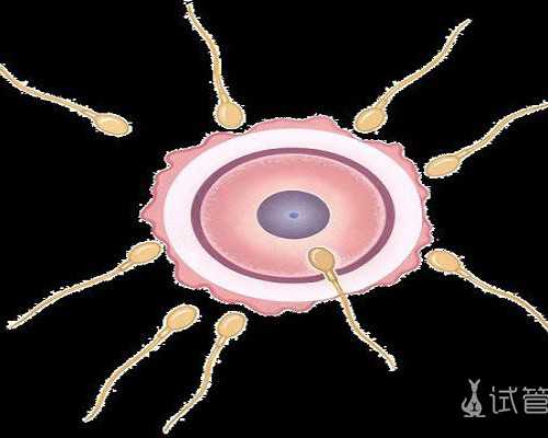 每个月备孕期_怀孕多久能打胎,2026廊坊不孕不育医院排名，排名前三医院推荐