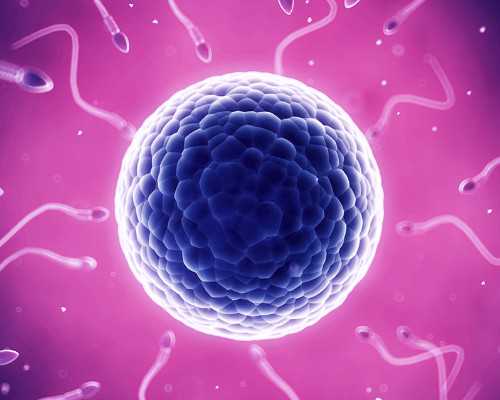 北京试管代孕生选性别 去北京试管婴儿需要什么条件才可以做? ‘胎儿做四维生