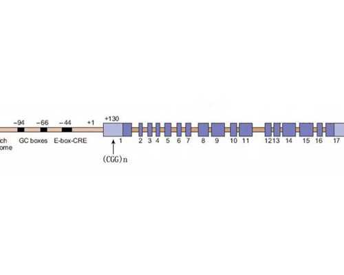杭州试管代生机构,参考试管婴儿最好医院排名，对自己和孩子负责-试管婴儿黄
