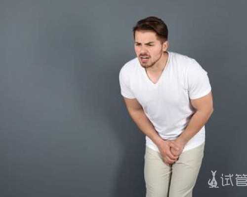 上海红房子医院 试管婴儿 “2026年上海第九人民医院试管成功率高吗?” ‘四维