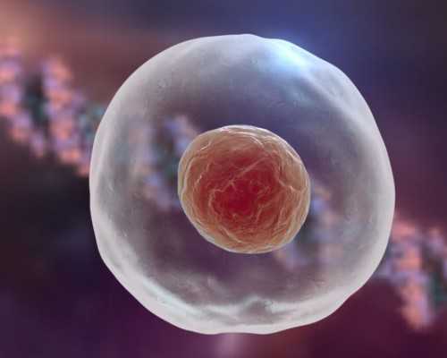 试管助孕代生,世界第一例试管婴儿的生活现状是怎么样的？_上海供卵试管医院