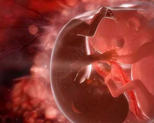 试管胎停后怎么调理身体，试管胎停后调理身体有这些方法