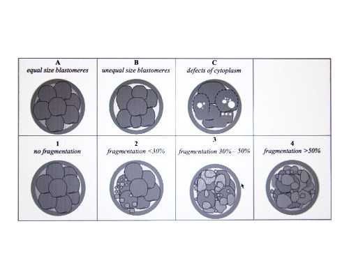 妻子不能生育可以代生吗,做试管婴儿全程需多少天？_做试管百分之二十能成功