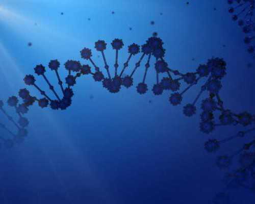 育儿师证书怎么考_怀孕一个月有症状吗,2026滨州不孕不育医院排名，滨州医学院