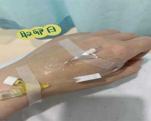 山东单独二胎新政策内容