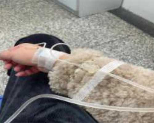 杭州代生代怀,试管婴儿和自然怀孕哪一个好?普通人可以做三代试管婴儿吗?-上