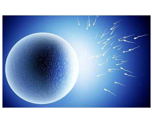 包成功厦门代生套餐 厦门妇幼保健院试管婴儿多少钱？附2026试管婴儿全流程花