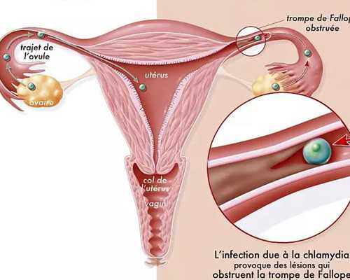 【蛋挞液的做法】蛋挞液的配方_蛋挞液的营养价值