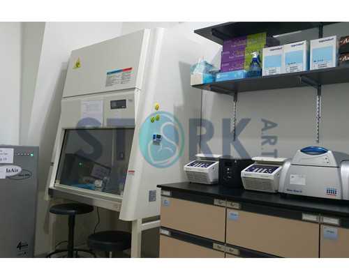 太原代生儿子价格,试管二超过后会胎停么_移植两个胚胎只有一个成功那一定是