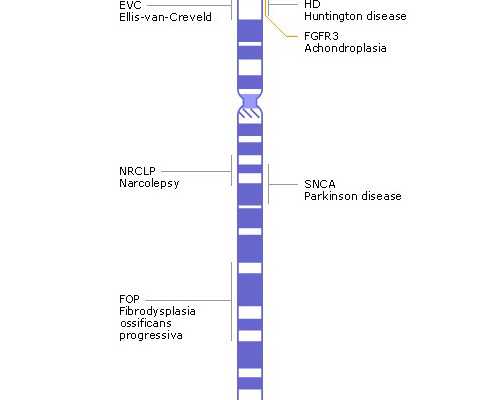 海口多发子宫肌瘤症状：子宫肌瘤多发症状怎么办*试管助孕价格