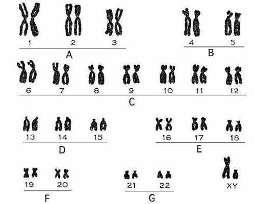 代怀公司价格表_代怀孕公司费用,香港DNA验血报告单准不准_性别鉴定会不会翻盘