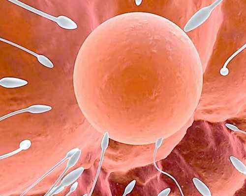 代生双胞胎抱儿子,北京大学第一医院做试管婴儿前要经历哪些检查流程？具体