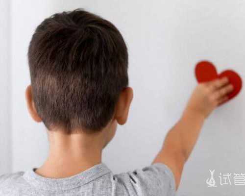 借卵子代怀_圆梦助孕代怀,内蒙古供卵代怀生子试管机构一览,揭晓2026
内蒙古借