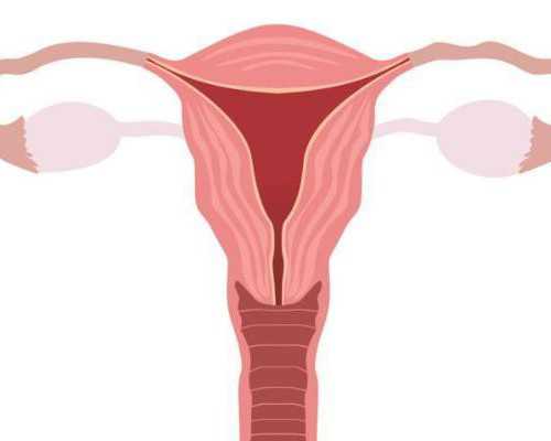 孕期哭泣会胎儿畸形吗*助孕产子试管