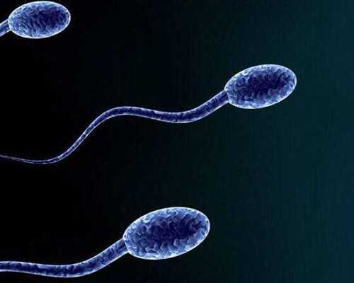 孕酮低怎么办？常喝这3种汤，补充天然黄体酮，孕酮慢慢升上来*有偿捐卵机构