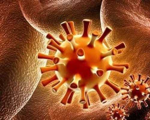 育儿知识分享_备孕需要检查什么,备孕中男性吃什么可以补充那方面的能力啊