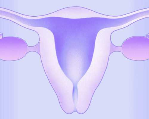 怀孕多久可以流产_备孕前检查6大项,2026南方医科大学南方医院试管婴儿成功率