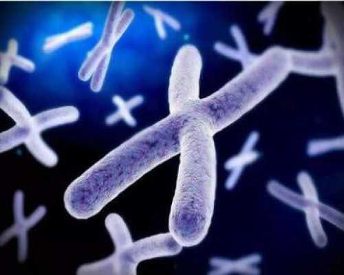 什么是代生妈妈..,卵泡少，长不大，怎么办呀，试管婴儿，取卵移植_上海正规