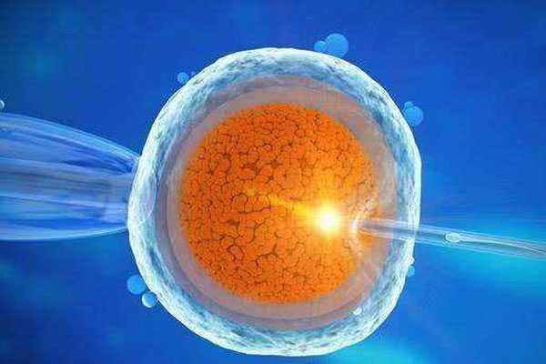 怒江可以借卵子库的卵子生育么_什么是试管胚胎等级，试管胚胎等级如何区分