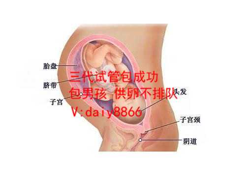 克拉玛依代孕生殖医学中心_克拉玛依代孕是自己的孩子吗_北京试管婴儿可以做