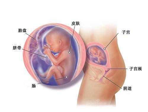 房山有供卵并代孕的医院_房山代孕成功率最高_泰国试管婴儿龙凤胎要哪些条件