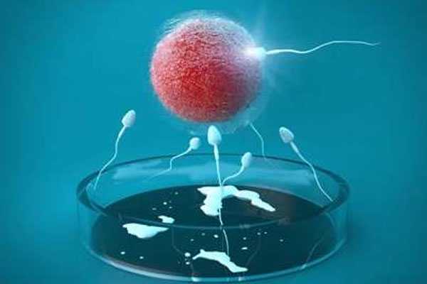 营口卵巢早衰借卵生孩子_营口哪里能借卵做试管_卵巢早衰,amh0.7,8个卵泡,做试管