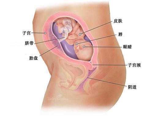 德阳三次胚胎停育可以找代孕吗_德阳私人代孕试管医院_做人流后有并发症，做