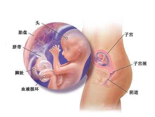 丰都代孕手术价钱_丰都代孕产子中心哪家安全_做泰国试管婴儿之前，你真的了