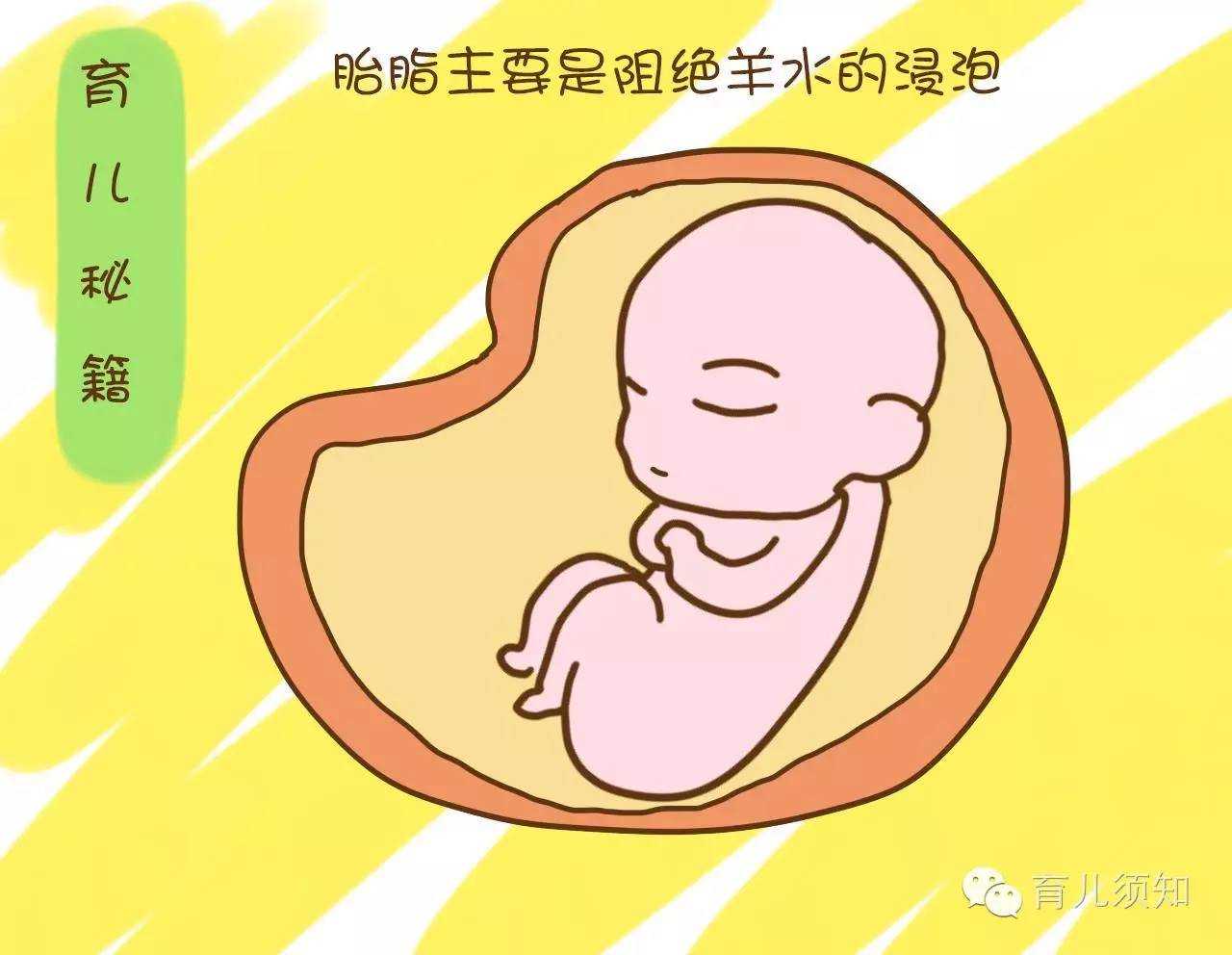 静海代孕有哪中方式_静海双胞胎代孕价格_安徽省试管婴儿多少钱可以报医保吗