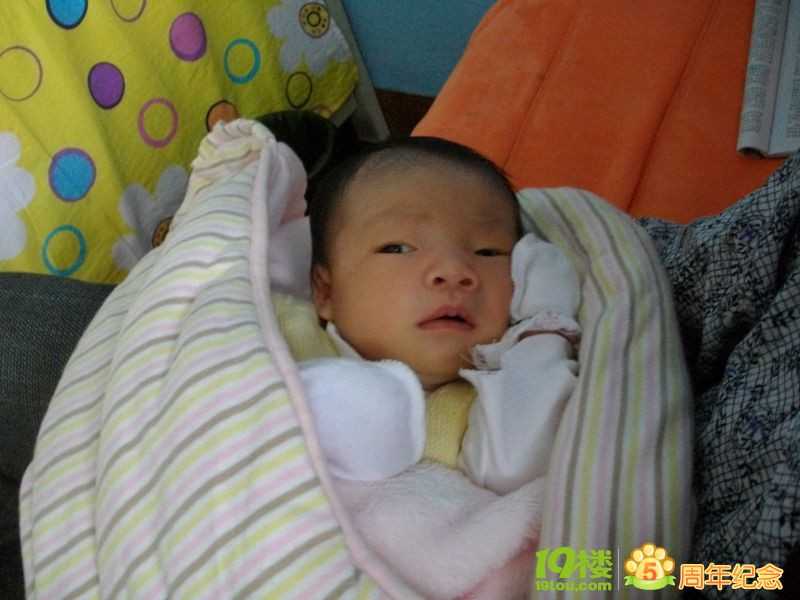 张家界代孕试管怎么样_张家界个人寻代孕_泰国试管婴儿技术为什么比国内好的