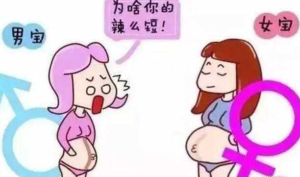 北京供卵试管婴医院 北京协和医院试管费用 ‘尿液放酒精测男女准吗?’